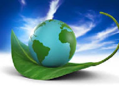 Environmental Policy Internal Environmental Policy Internal