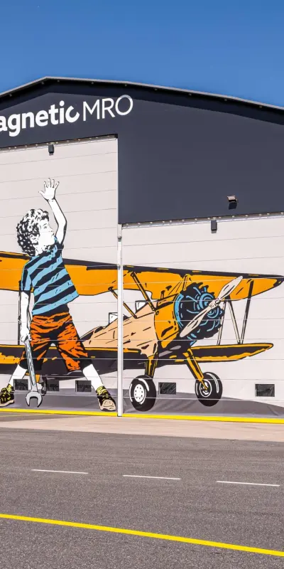 Aircraft hangers